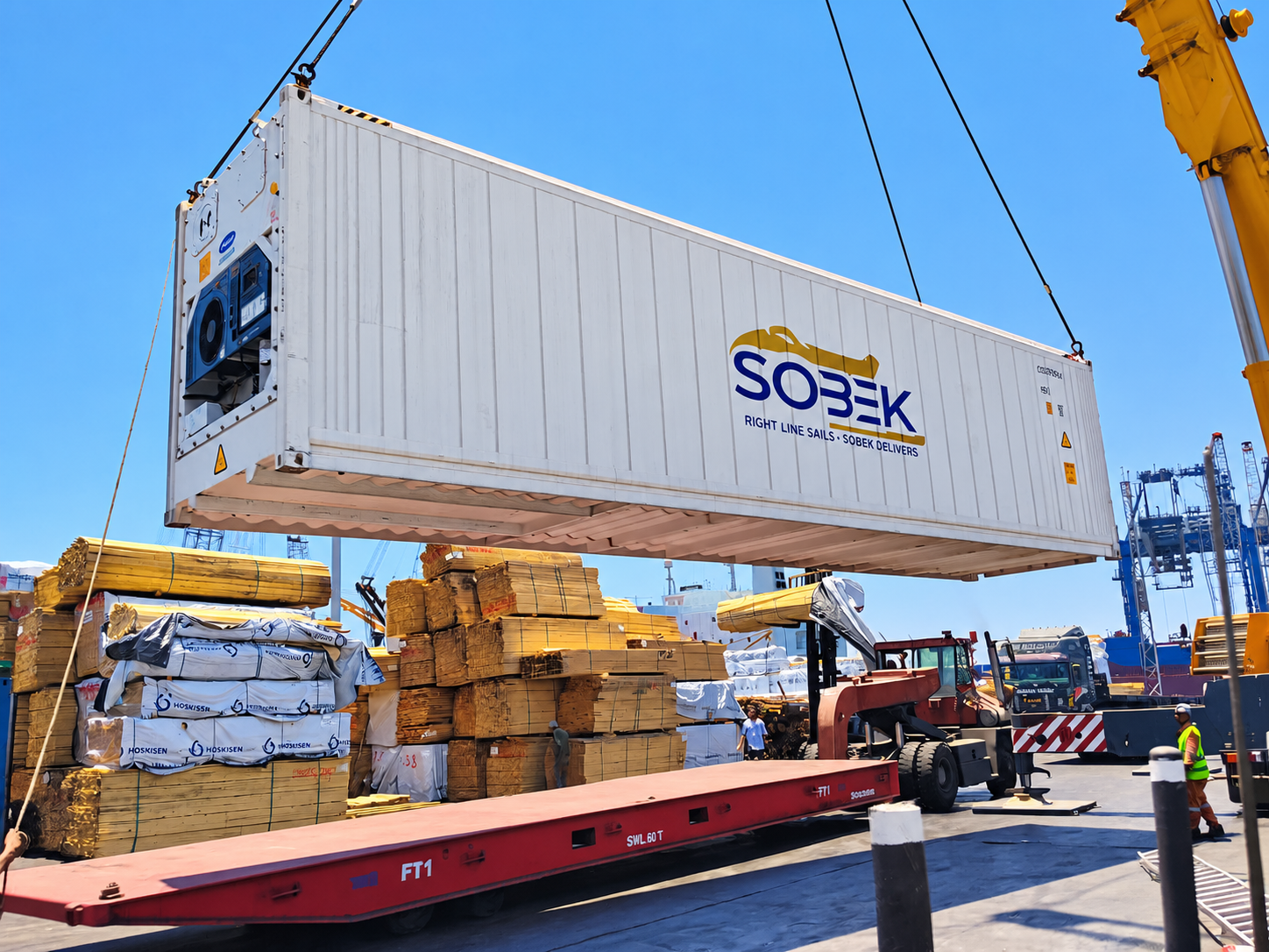 Reefer container lifted above stacked timber